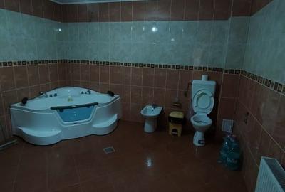 Vilă spațioasă cu teren generos, garaj, zonă ideală, direct proprietar - 12