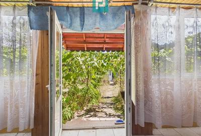 Case ?i teren Comuna Calacea - 12