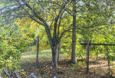 Casa de vanzare in ilovat, mehedinti - 7