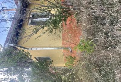 Casă cu 2 camere în Ormeniș - 6