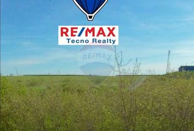 Teren Construcții intravilan de 59645 mp, în Frumușeni - 4