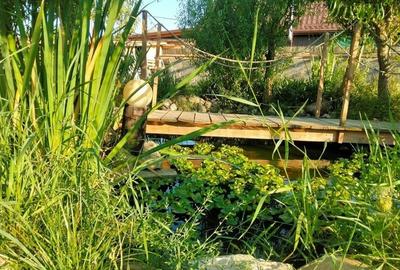 FILM&3D!Cabana cu autenticitate, mobilata,utilata,teren700mp,sera,Podu Oltului,B - 2