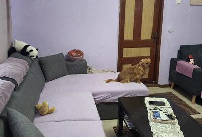 Casă cu 3 camere cu Teren 2155 Mp în Traian - 1