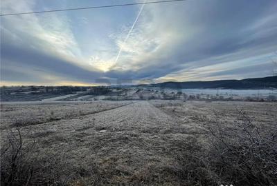 Teren de 2500 mp, în Vadu Crișului - 1