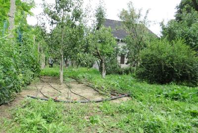 Vanzare 3 case moderne + 3 anexe si 2000 mp teren gradina, pomi in Tuzla la mare - 18
