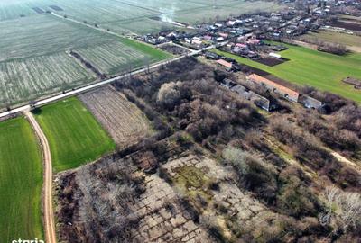 Spațiu comercial, în Nuci - 13