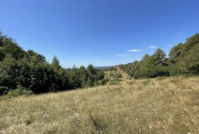 Teren de 45809 mp, în Mădrigești - 13