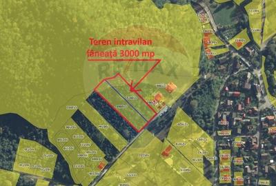 Teren intravilan, 3000 mp, Dambu Morii - 4