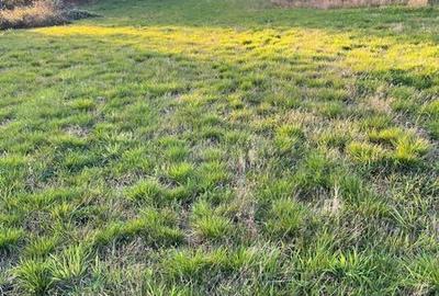 Teren de 5200 mp, în Râșca - 2