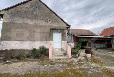 Casa 266 mp, 3992 mp teren, garaj, terasa, Topolovatu Mare-Timisoara - 10
