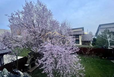 Masterpiece villa*** 6 camere//Independenta energetic//Kaufland Balotesti - 4