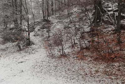 Teren intravilan situat in Busteni - 4