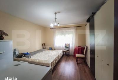 Casă cu 3 camere cu Teren 24000 Mp în Micula - 6