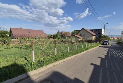 Spațiu comercial, în Valea Adâncă - 3