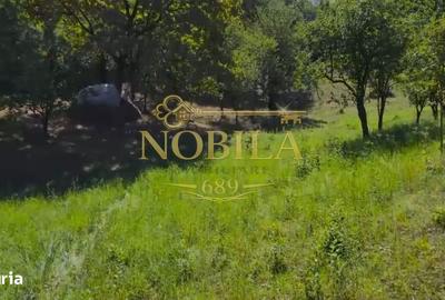 Teren de 10537 mp, în Bogdănești - 8