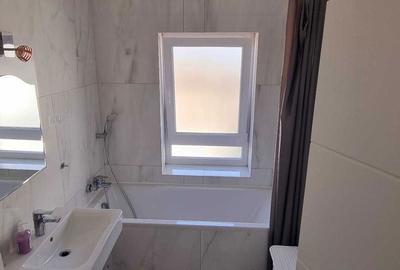 Apartament cu 2 camere semidecomandat, mobilat în Dumbrăvița - 2