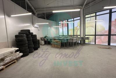 Spatii comerciale de inchiriat in PIATA DELFINULUI - 8
