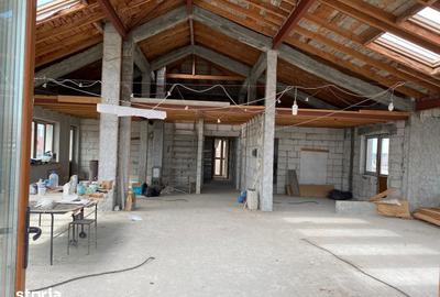 Casă cu Teren 800 Mp în Palazu Mare - 2