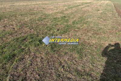 Teren Construcții de 2900 mp, în Ampoi 3 - 1