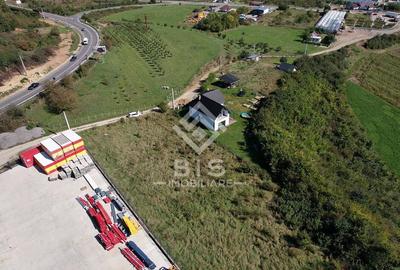 Teren Intravilan - Viisoara - 4