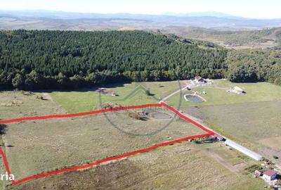 Spațiu comercial, în Sigmir - 1