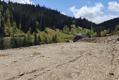 Teren de 1000 mp, în Băișoara - 4