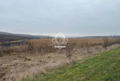 Teren Construcții intravilan de 13780 mp, în Apahida - 7