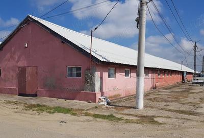 Spațiu comercial, de 250 mp, în Moșnița Nouă - 4