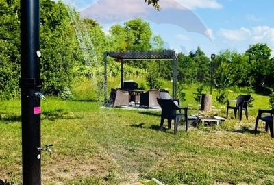 Proprietate specială, de 280 mp, în Almaș - 58