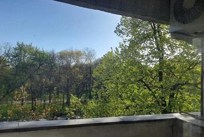 Apartament cu 3 camere decomandat în Tineretului - 2