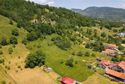 Deschidere spre crestele alpine+ documentatie turistica,4.400 mp de inspiratie naturala - 8