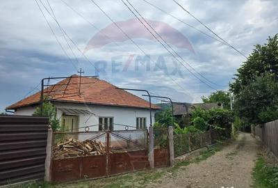 Casă cu 3 camere cu Teren 5000 Mp în Cislău - 14