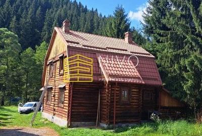 Casă de vacanță - Mureș - Sălard - 4