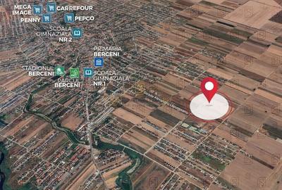 Tere intravilan, 500 mp, str Buchetului, comuna Berceni, Ilfov - 2