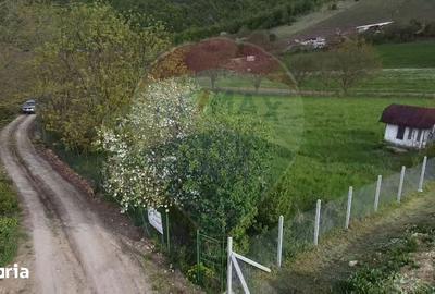 Teren de 3826 mp, în Apahida - 2
