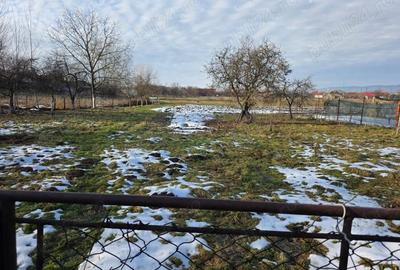 Casă în Măgești - 7