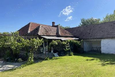 Casă cu Teren 2100 Mp în Hotar - 4