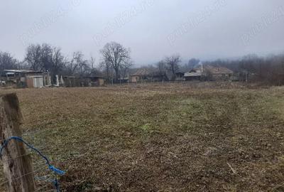 Casă cu 2 camere în Zegujani - 1