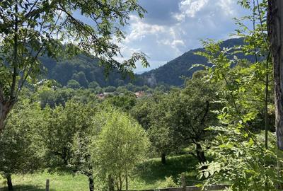 Teren intravilan de vanzare, cu vedere catre Castelul Bran - 5