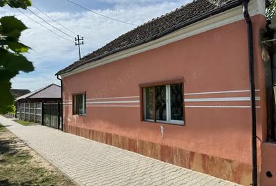 Casa de vanzare in Banloc - 1