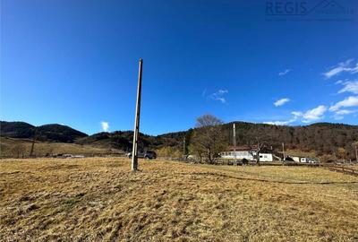 TEREN INTRAVILAN SIRNEA/ 4000 MP/ - 9