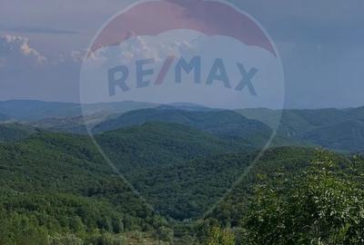 DE VANZARE Pensiune | 12 camere | Bisoca / Buzau - 5