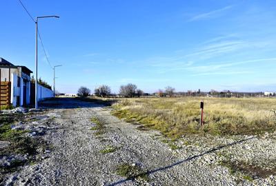 TEREN 762mp zona privata exclusivista Izvorani Delta Snagov la 100m lac - 13