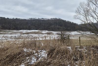 Teren Construcții extravilan de 1.7000000476837 mp, în Calea Voinicenilor - 3