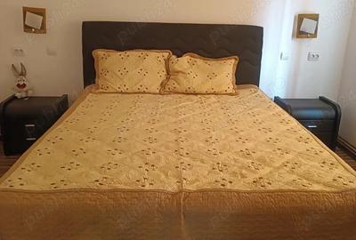 Casă cu Teren 2000 Mp în Chiselet - 3