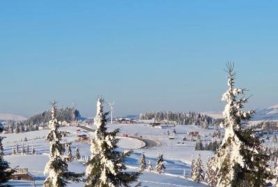 Teren 4000 mp Piatra Fantanele Județul Bistrița Năsăud - 7
