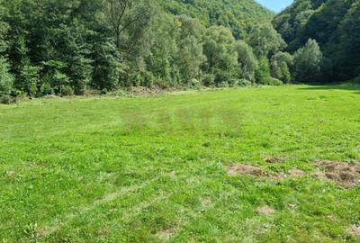 Teren Construcții de 1000 mp, în Valea Ierii - 2