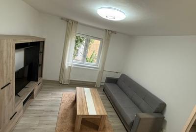 Prelungirea Ferentari, Profi, Livezilor - 5