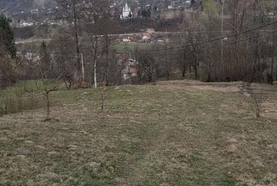 Spațiu comercial, în Valea Vișeului - 5