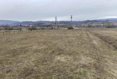 Teren de 3000 mp, în Vața de Jos - 9